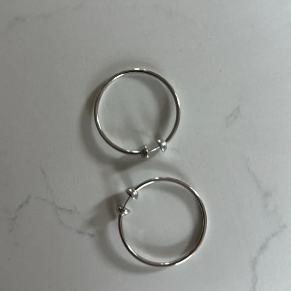 NWOT-JENNY BIRD Icon Hoop Earrings - Medium - Picture 2 of 10